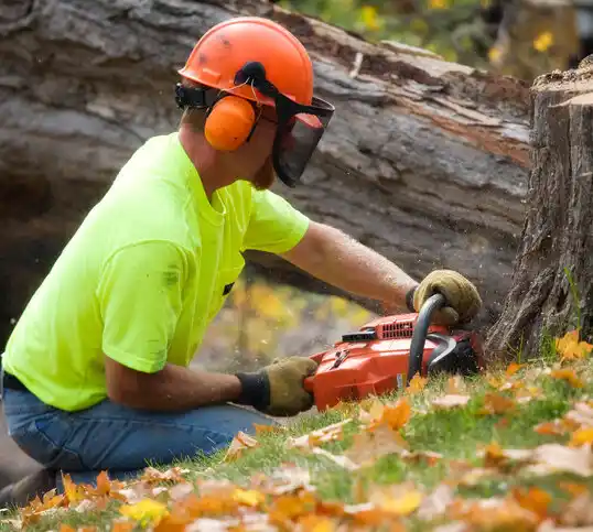 tree services North Middletown